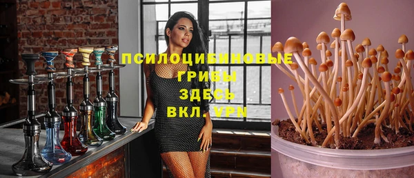 альфа пвп Карпинск