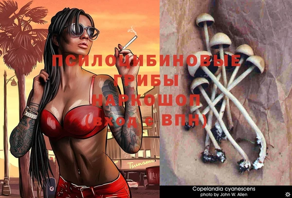 меф Касимов