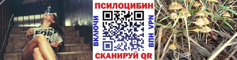 Купить  Бикин  Псилоцибиновые грибы GOLDEN TEACHER 