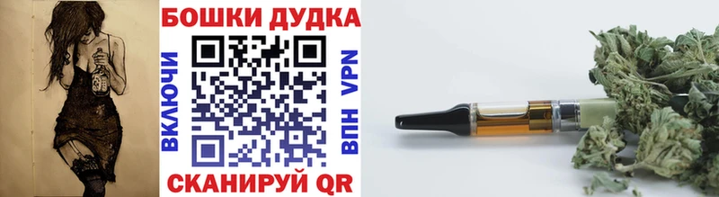 Бошки марихуана сатива  Купить закладки  Бикин 